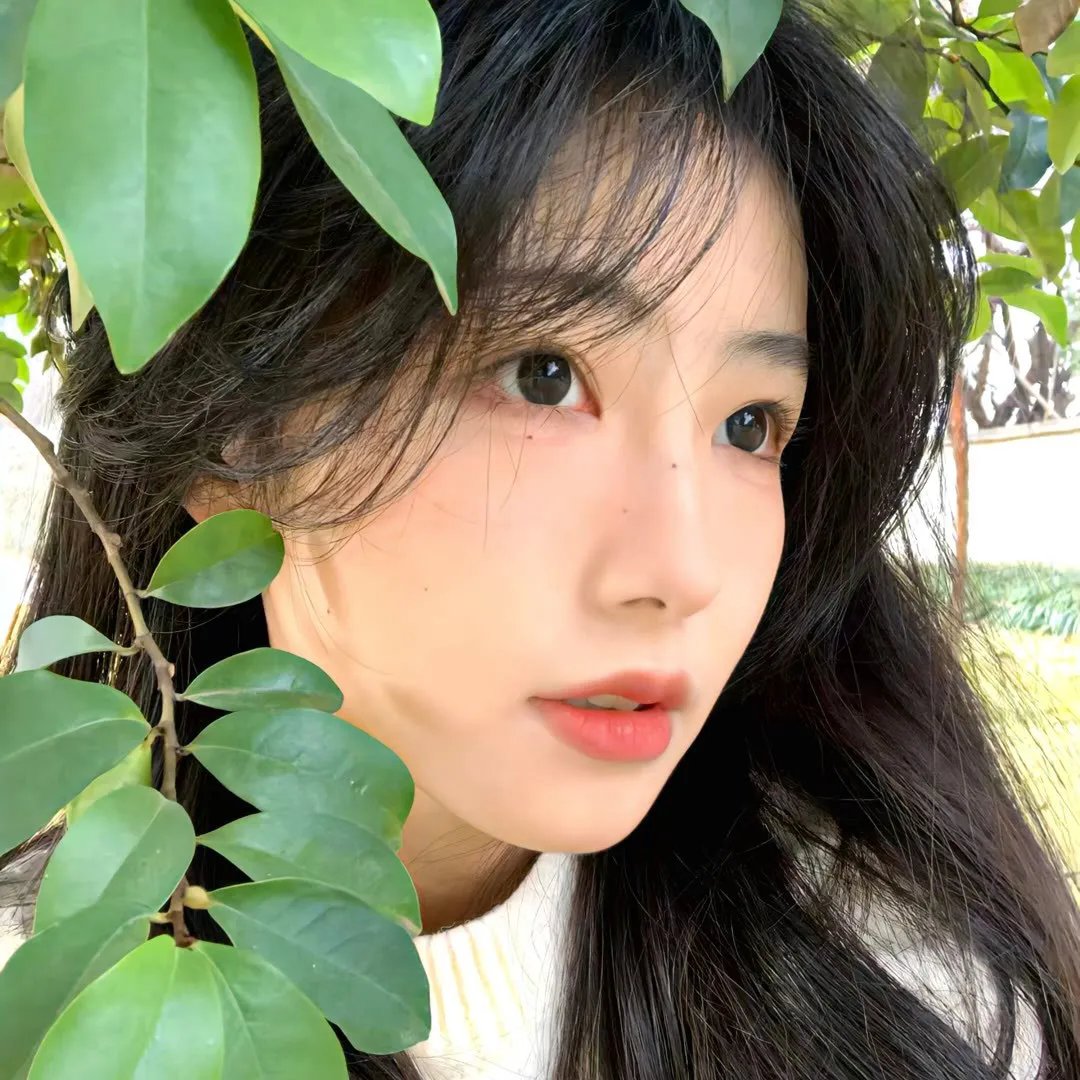 珍珠传奇